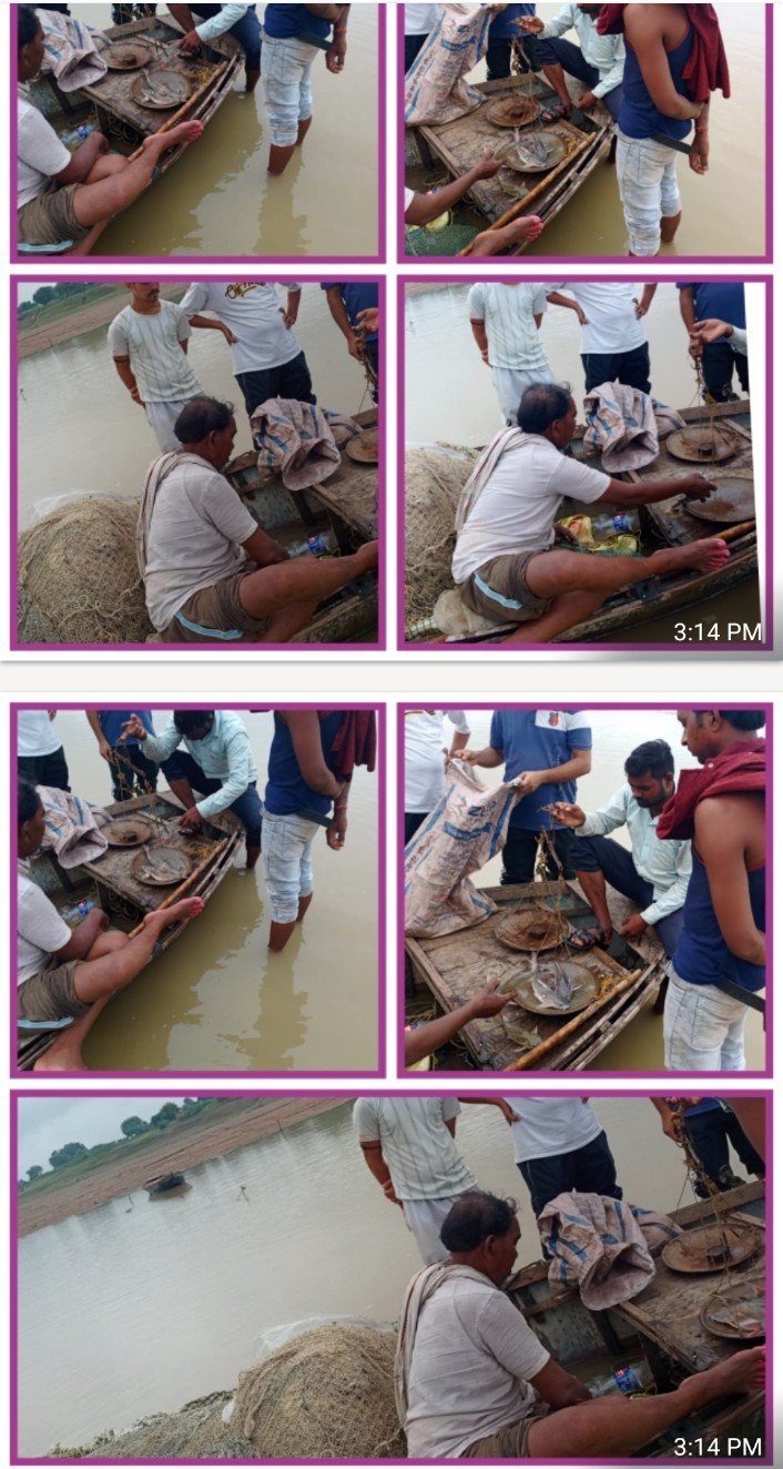 यमुना में अवैध मछली पकड़ने का खेल जारी, प्रशासन बेखबर*