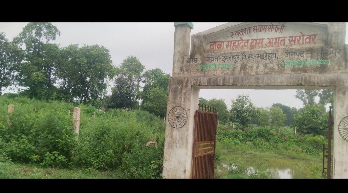 लाखों की लागत से बने बाबा महादेवदास अमृत सरोवर में उगी भांग 