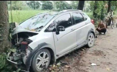 नैमिषारण्य दर्शन के लिए आ रहे श्रद्धालुओं की कार पेड़ से टकराई, दो सगे भाइयों की मौत