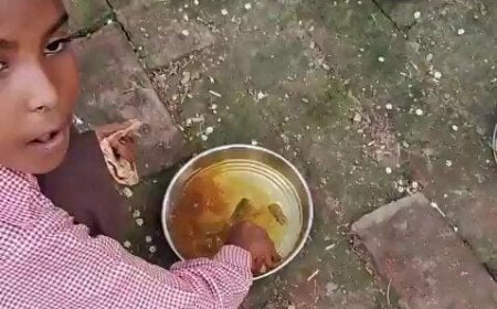मिड डे मील में लापरवाही पर बड़ा एक्शन: प्रधानाध्यापिका सस्पेंड, BEO को प्रतिकूल प्रविष्टि, रसोइया बर्खास्त