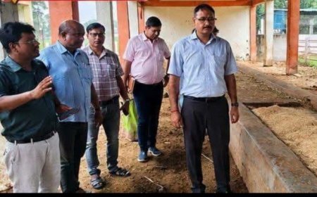*डीएम आलोक कुमार का गो-आश्रय स्थलों पर औचक निरीक्षण, साफ-सफाई और गोवंशों की बेहतर देखभाल के दिए सख्त निर्देश