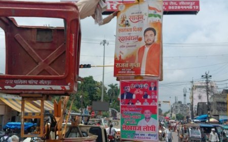त्योहारों से पहले सीतापुर नगर पालिका का बड़ा अभियान, हटवाए अवैध होर्डिंग कटआउट