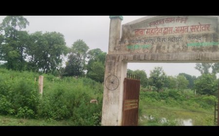 लाखों की लागत से बने बाबा महादेवदास अमृत सरोवर में उगी भांग 