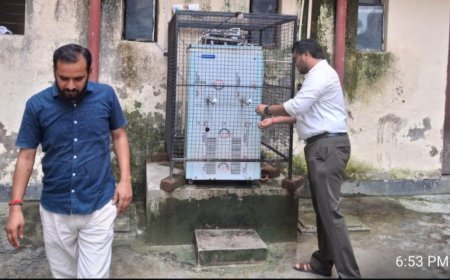 डीएम के औचक निरीक्षण के बाद जवाहर नवोदय विद्यालय की व्यवस्थाओं में सुधार, बच्चों की समस्याओं का हुआ त्वरित समाधान