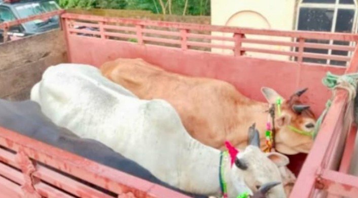 सुबह करीब 6 बजे घिवही में बड़ी कार्रवाई, वाहन चालकों से पुलिस कर रही पूछताछ; ग्रामीणों ने झारखंड ले जाने का लगाया आरोप।