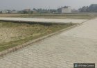 न्यायालय में मुकदमा लंबित रहने के दौरान धारा 80 का आदेश, आवेदन में जानकारी छिपाने का आरोप