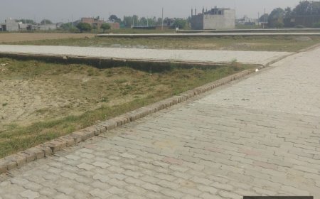 न्यायालय में मुकदमा लंबित रहने के दौरान धारा 80 का आदेश, आवेदन में जानकारी छिपाने का आरोप