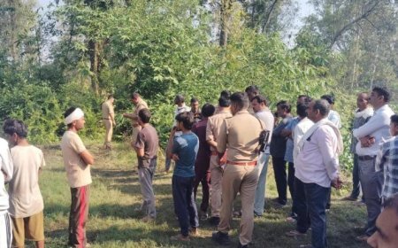 सीतापुर के बंजरिया गांव में मिला 52 वर्षीय व्यक्ति का शव, हत्या की आशंका 