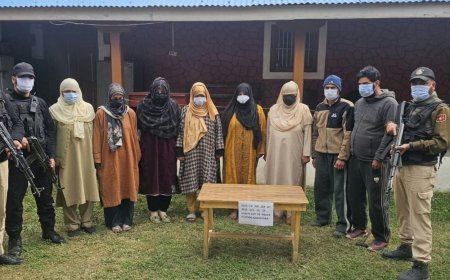 कश्मीर में 6 गिरफ्तार, प्रतिबंधित संगठन से जुड़ाव का आरोप:इनमें 4 महिलाएं: होटल में हुईं सीक्रेट बैठकें, ₹7-8 लाख के लेन-देन का शक