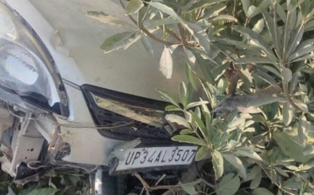 कुत्ते को बचाने में खाई में पलटी कार, पांच घायल; एंबुलेंस कर्मियों ने बचाई जान